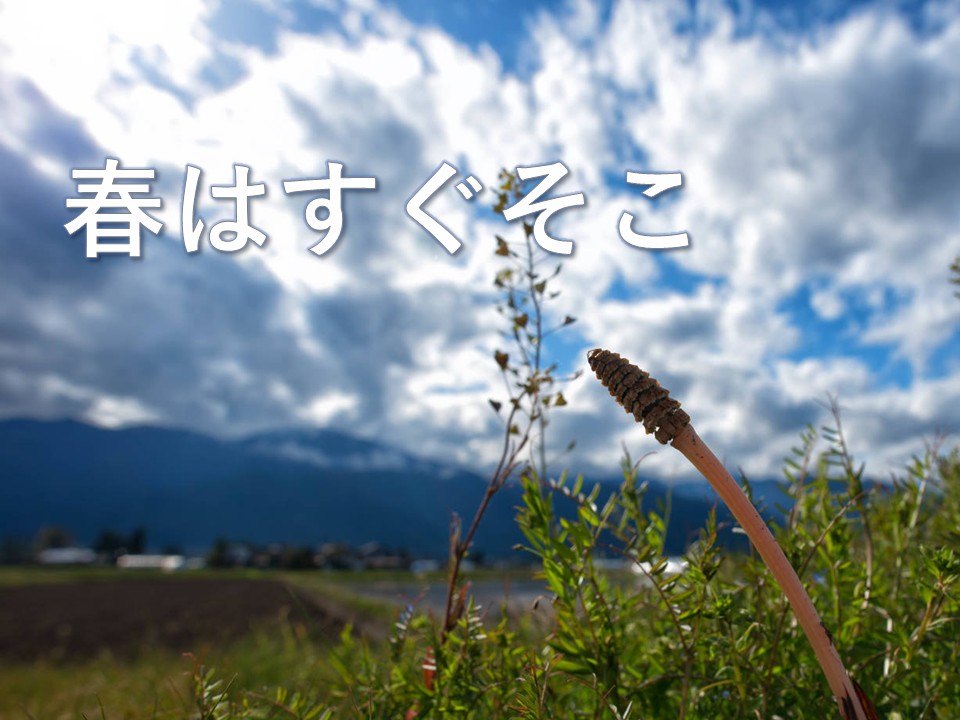 春日市民図書館